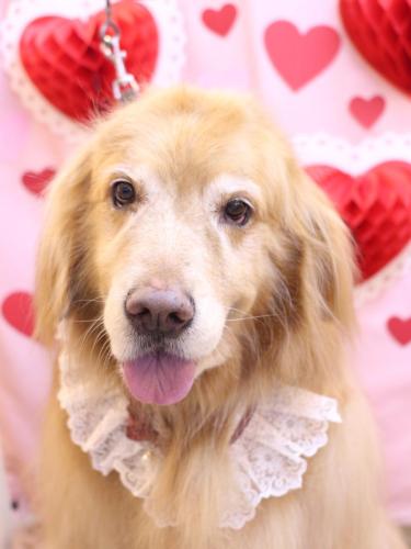 20240206五助くん